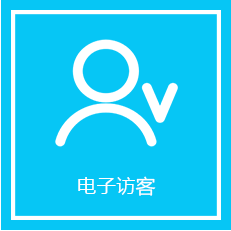 電子訪(fǎng)客